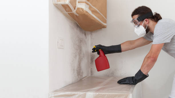 Professional Mold Removal technician working in Lincoln, IL