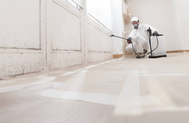 24/7 Emergency Mold Removal experts in Lincoln, IL